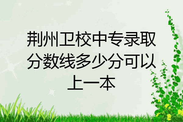 荆州卫校中专录取分数线多少分可以上一本