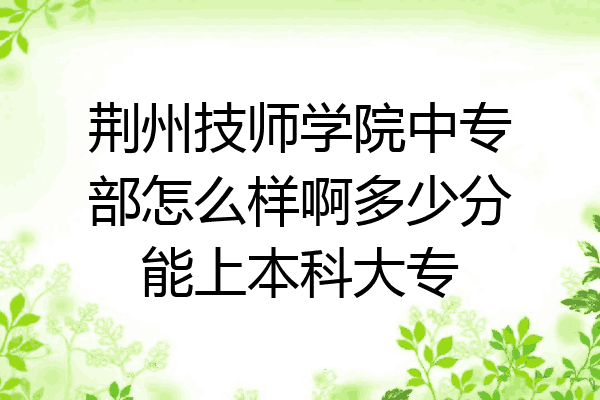 荆州技师学院中专部怎么样啊多少分能上本科大专
