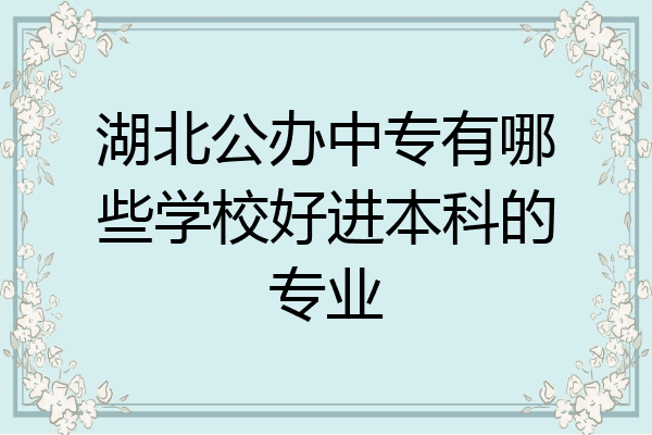 湖北公办中专有哪些学校好进本科的专业