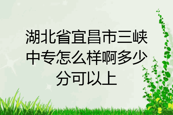 湖北省宜昌市三峡中专怎么样啊多少分可以上