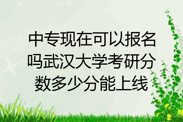 中专现在可以报名吗武汉大学考研分数多少分能上线