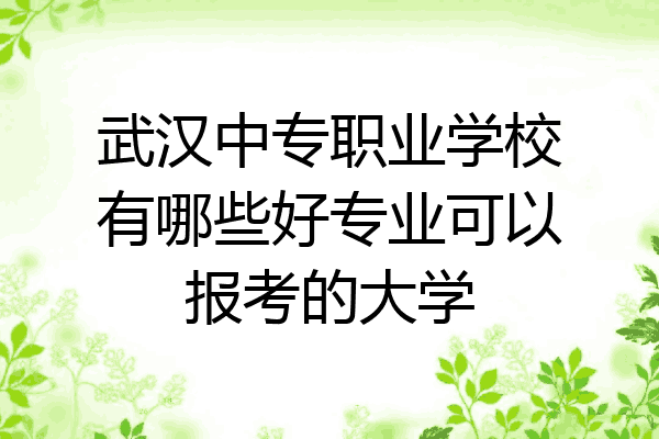 武汉中专职业学校有哪些好专业可以报考的大学