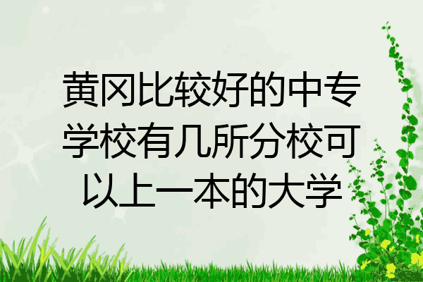 黄冈比较好的中专学校有几所分校可以上一本的大学