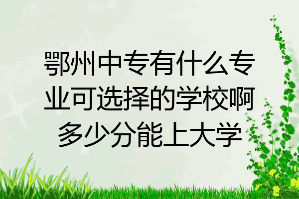 鄂州中专有什么专业可选择的学校啊多少分能上大学