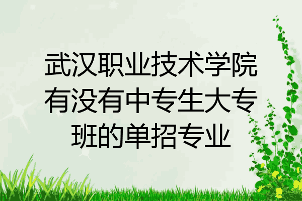 武汉职业技术学院有没有中专生大专班的单招专业