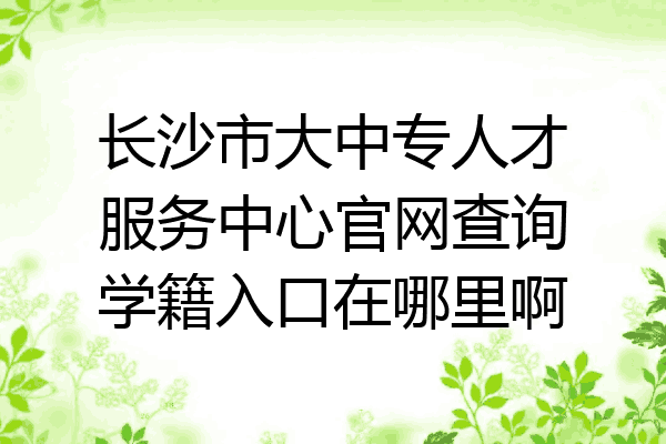长沙市大中专人才服务中心官网查询学籍入口在哪里啊
