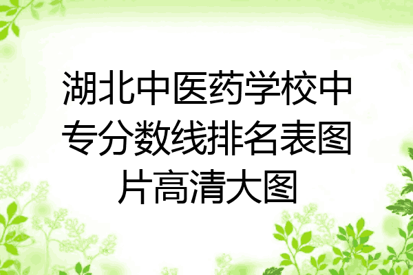 湖北中医药学校中专分数线排名表图片高清大图