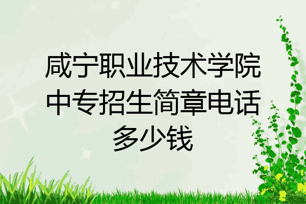 咸宁职业技术学院中专招生简章电话多少钱