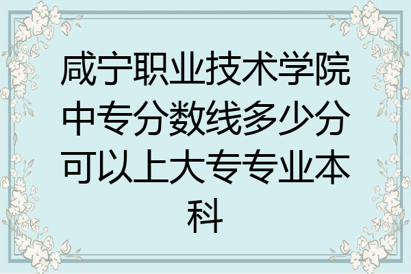 咸宁职业技术学院中专分数线多少分可以上大专专业本科