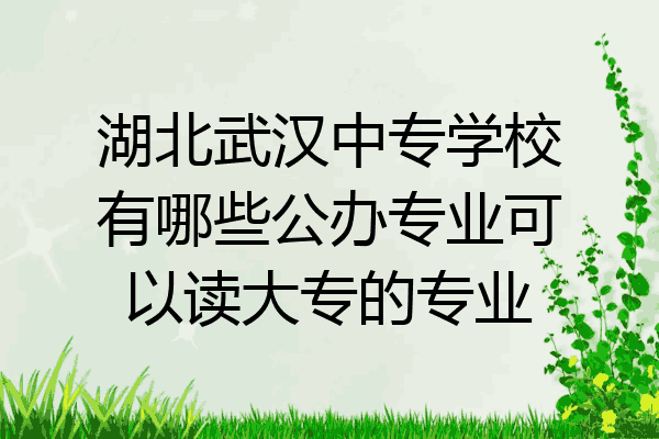 湖北武汉中专学校有哪些公办专业可以读大专的专业