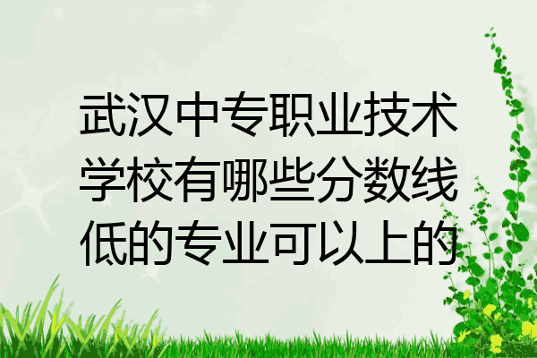 武汉中专职业技术学校有哪些分数线低的专业可以上的