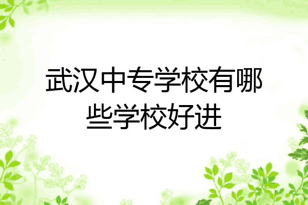 武汉中专学校有哪些学校好进