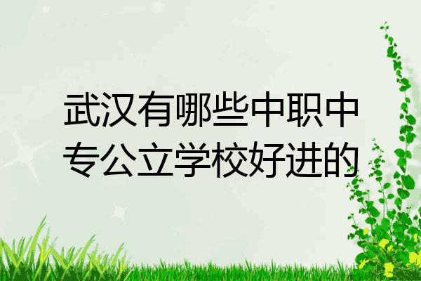 武汉有哪些中职中专公立学校好进的