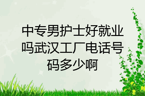 中专男护士好就业吗武汉工厂电话号码多少啊