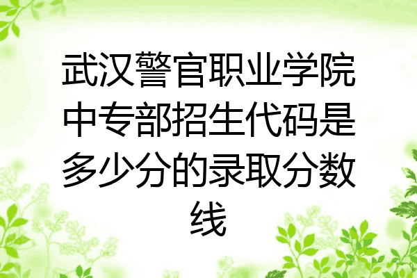 武汉警官职业学院中专部招生代码是多少分的录取分数线