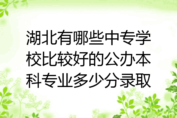 湖北有哪些中专学校比较好的公办本科专业多少分录取