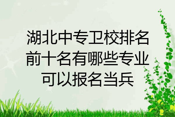 湖北中专卫校排名前十名有哪些专业可以报名当兵