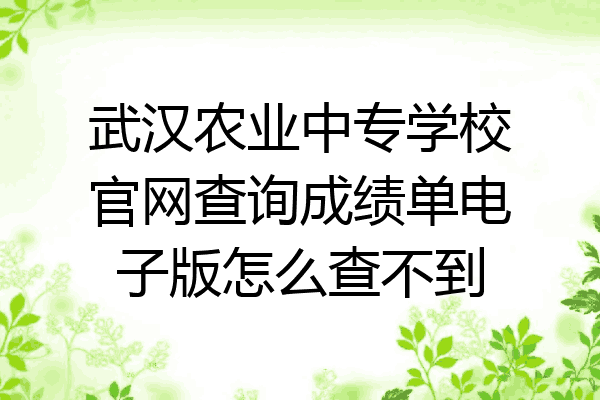 武汉农业中专学校官网查询成绩单电子版怎么查不到