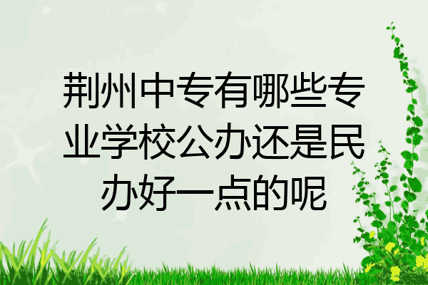 荆州中专有哪些专业学校公办还是民办好一点的呢