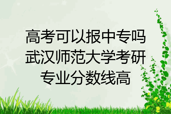 高考可以报中专吗武汉师范大学考研专业分数线高
