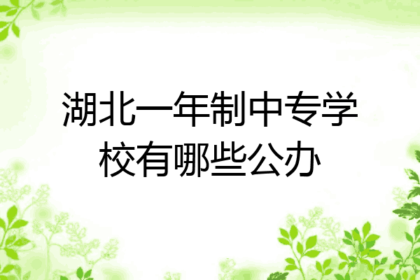 湖北一年制中专学校有哪些公办