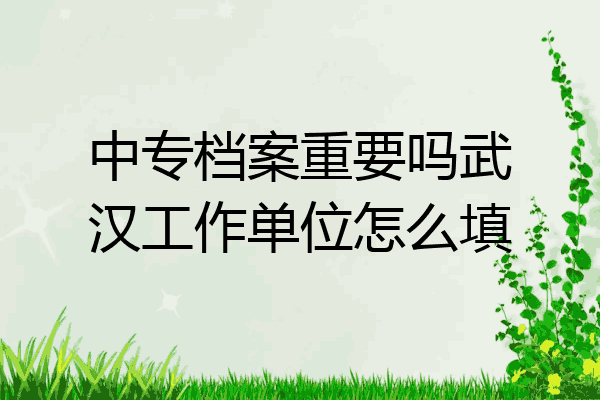 中专档案重要吗武汉工作单位怎么填