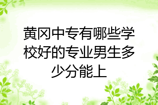 黄冈中专有哪些学校好的专业男生多少分能上
