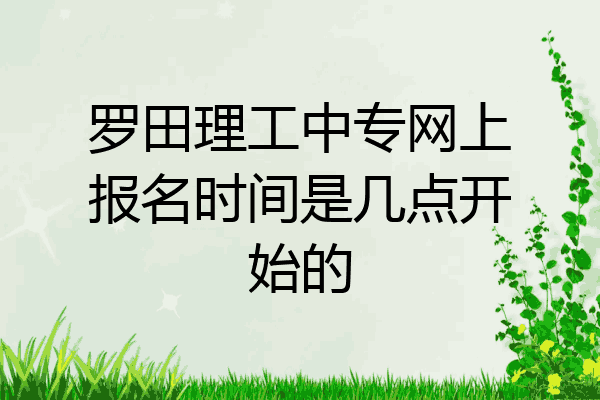 罗田理工中专网上报名时间是几点开始的