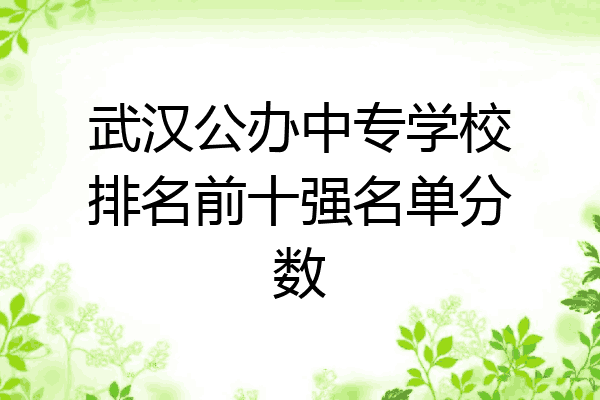 武汉公办中专学校排名前十强名单分数