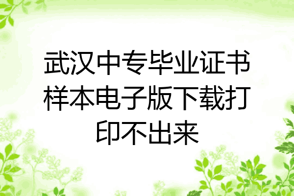 武汉中专毕业证书样本电子版下载打印不出来
