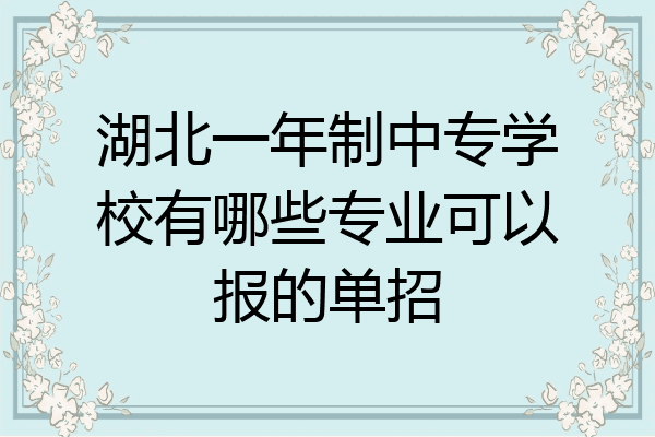 湖北一年制中专学校有哪些专业可以报的单招