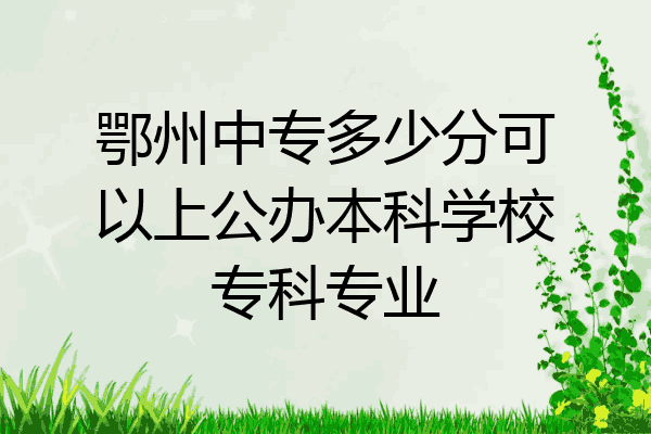 鄂州中专多少分可以上公办本科学校专科专业