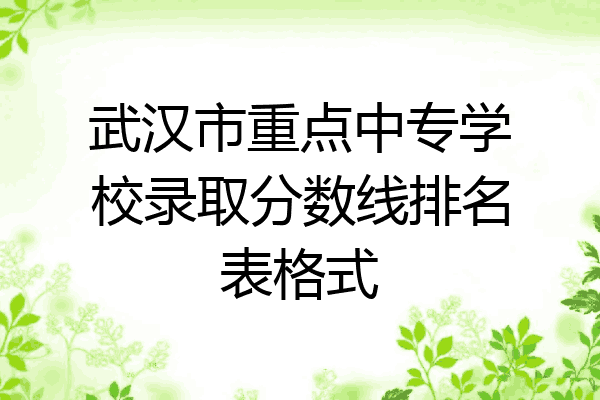 武汉市重点中专学校录取分数线排名表格式
