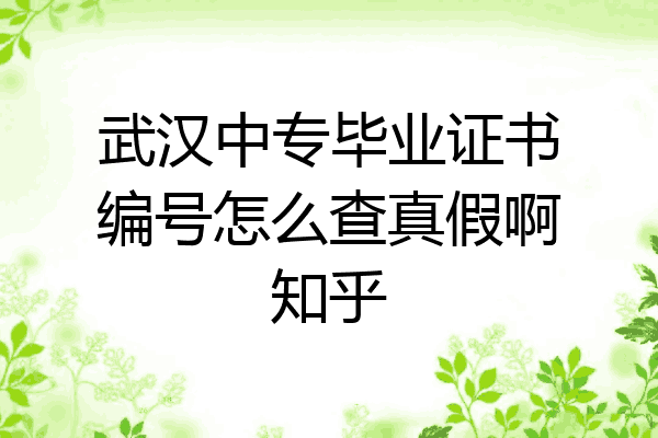 武汉中专毕业证书编号怎么查真假啊知乎