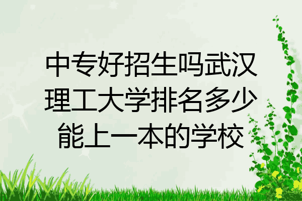 中专好招生吗武汉理工大学排名多少能上一本的学校