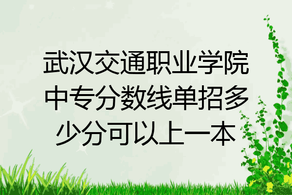 武汉交通职业学院中专分数线单招多少分可以上一本