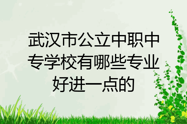 武汉市公立中职中专学校有哪些专业好进一点的