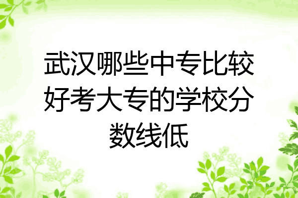 武汉哪些中专比较好考大专的学校分数线低