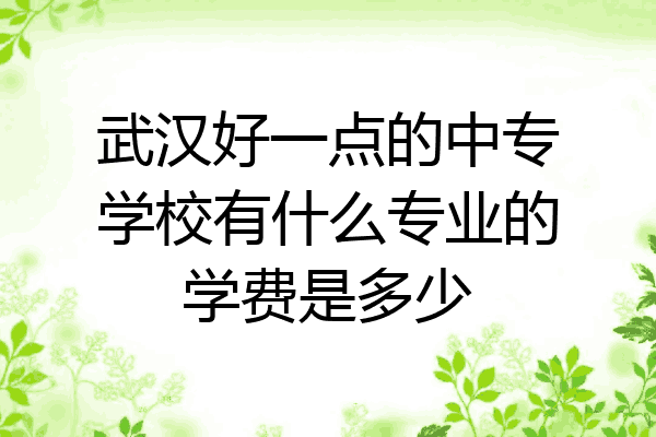 武汉好一点的中专学校有什么专业的学费是多少
