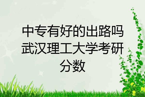 中专有好的出路吗武汉理工大学考研分数