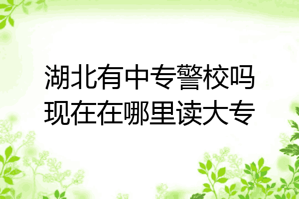 湖北有中专警校吗现在在哪里读大专