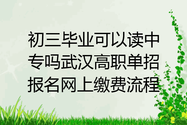 初三毕业可以读中专吗武汉高职单招报名网上缴费流程