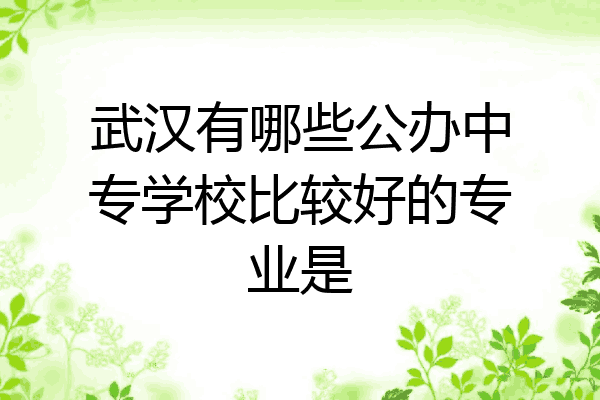 武汉有哪些公办中专学校比较好的专业是