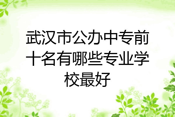 武汉市公办中专前十名有哪些专业学校最好