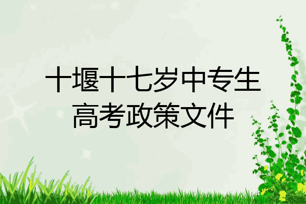 十堰十七岁中专生高考政策文件
