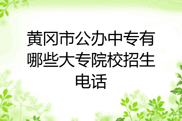 黄冈市公办中专有哪些大专院校招生电话