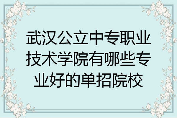 武汉公立中专职业技术学院有哪些专业好的单招院校