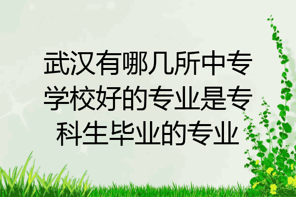 武汉有哪几所中专学校好的专业是专科生毕业的专业