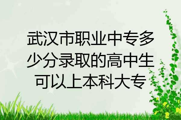 武汉市职业中专多少分录取的高中生可以上本科大专