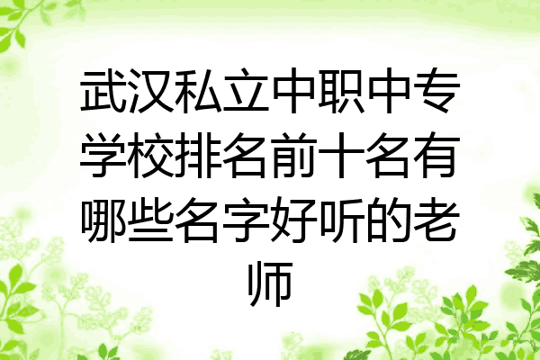 武汉私立中职中专学校排名前十名有哪些名字好听的老师